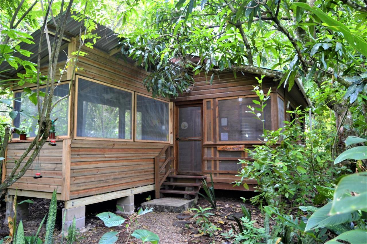 Iguana Roost Tourism Gold Standard Fully Equipped Two Bedroom Cabin Сан-Ігнасіо Екстер'єр фото