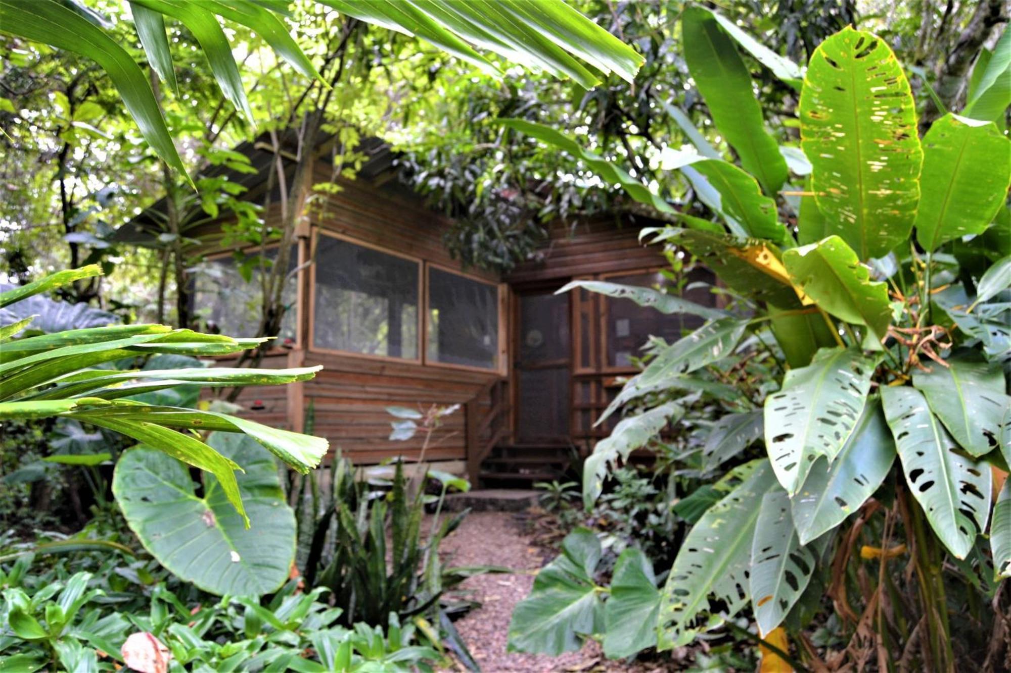 Iguana Roost Tourism Gold Standard Fully Equipped Two Bedroom Cabin Сан-Ігнасіо Екстер'єр фото